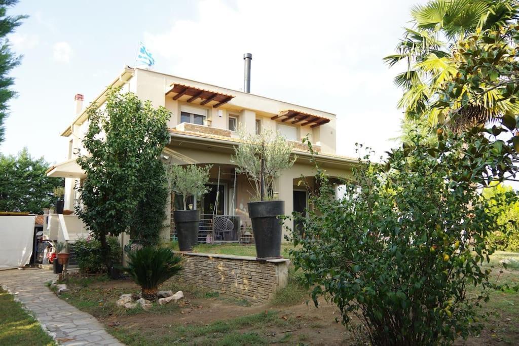 Villa Vasili Tríkala Exterior foto